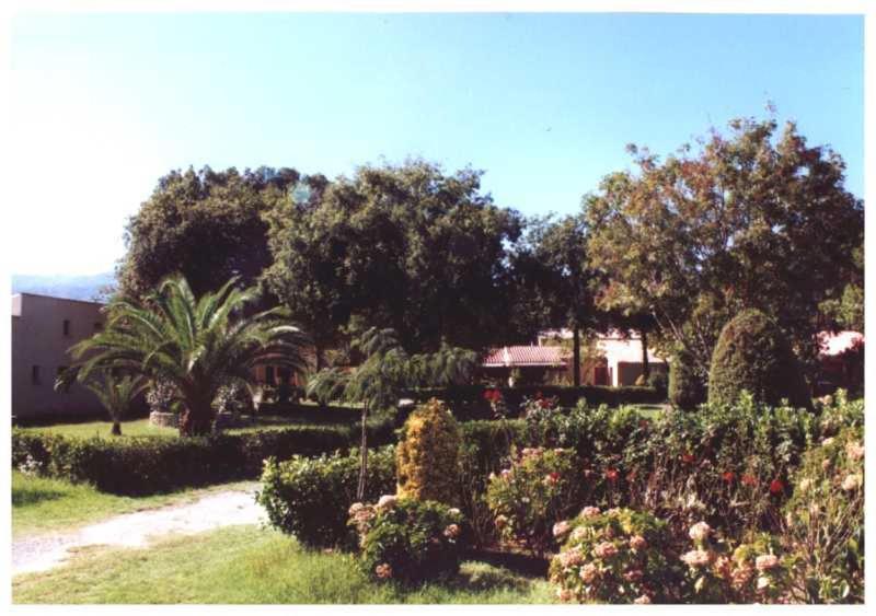 Domaine De L'Avidanella Appartement Santa-Lucia-di-Moriani Buitenkant foto