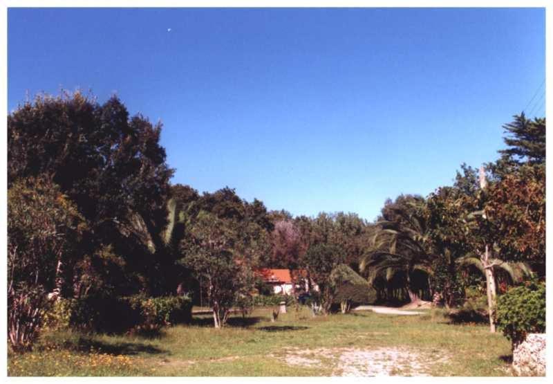 Domaine De L'Avidanella Appartement Santa-Lucia-di-Moriani Buitenkant foto
