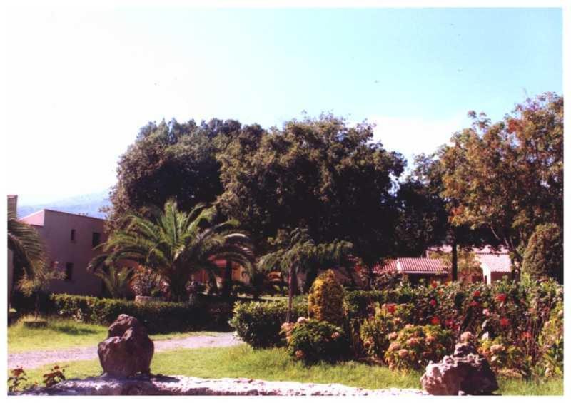 Domaine De L'Avidanella Appartement Santa-Lucia-di-Moriani Buitenkant foto