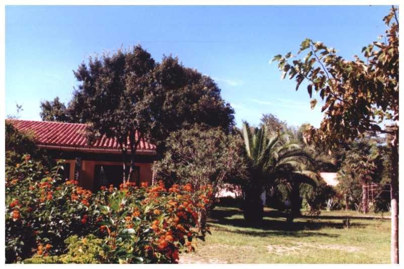 Domaine De L'Avidanella Appartement Santa-Lucia-di-Moriani Buitenkant foto