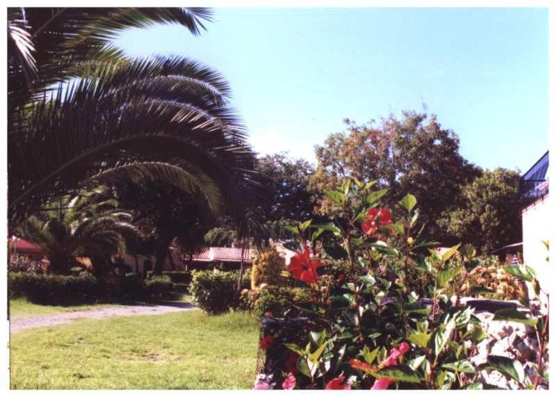 Domaine De L'Avidanella Appartement Santa-Lucia-di-Moriani Buitenkant foto