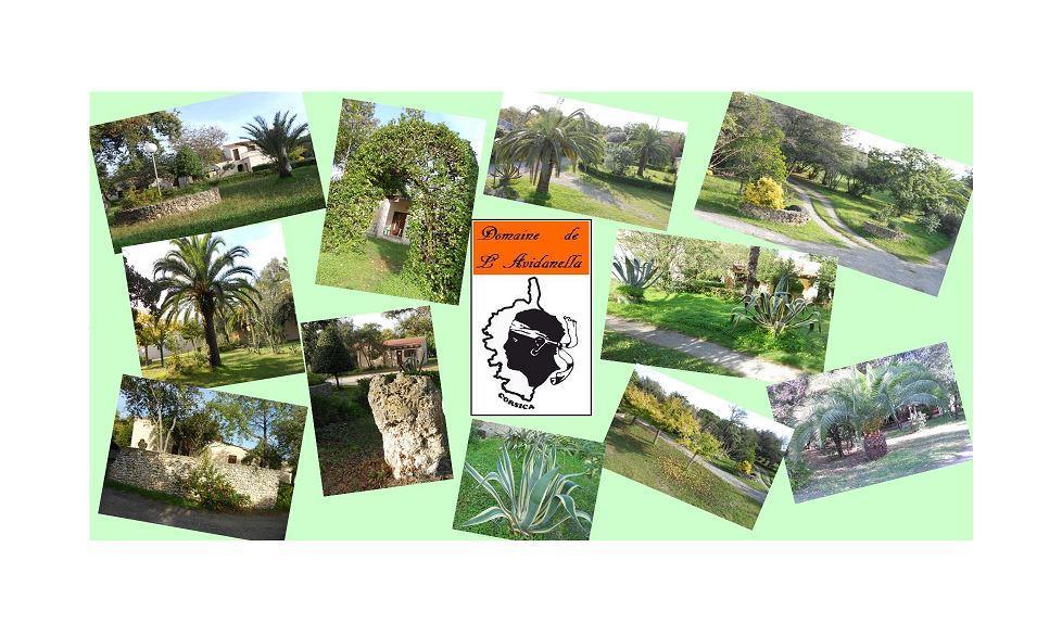 Domaine De L'Avidanella Appartement Santa-Lucia-di-Moriani Buitenkant foto